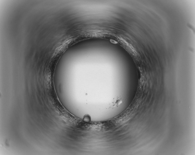 X0000097000306200802221527