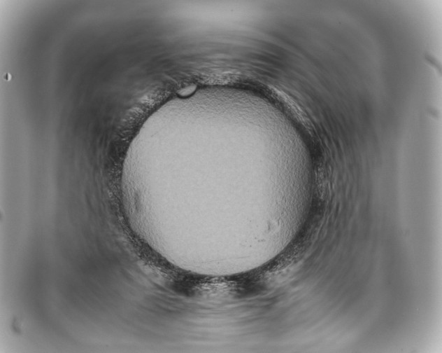 X0000097000307200802221527