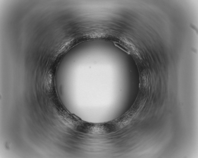 X0000097000308200802221527