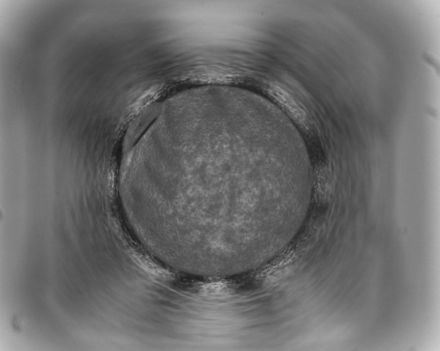 X0000097000309200802221527