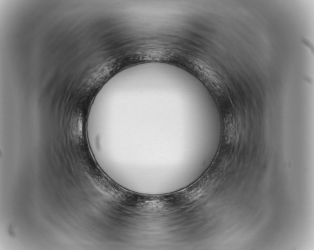 X0000097000310200802221527