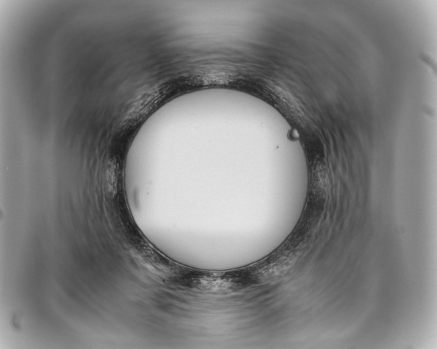 X0000097000311200802221527