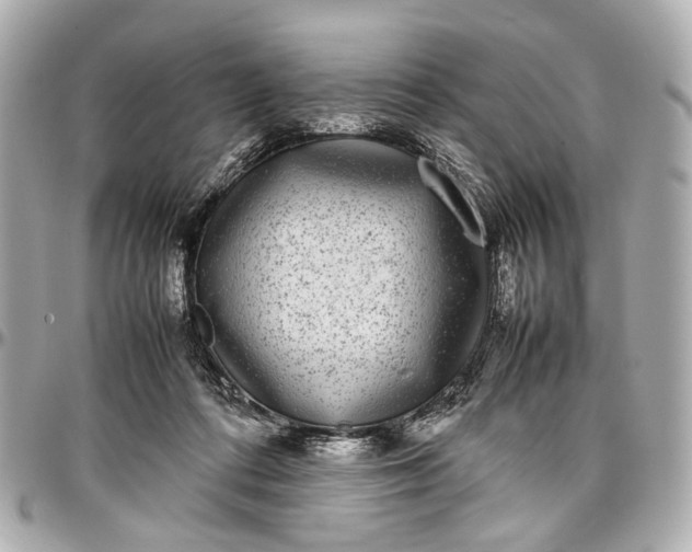 X0000097000312200802221527