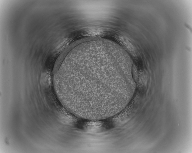 X0000097000313200802221527