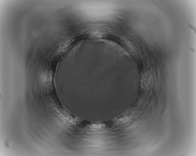 X0000097000314200802221527