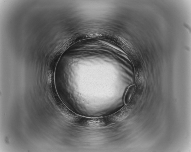 X0000097000315200802221527