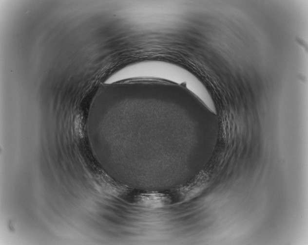 X0000097000316200802221527