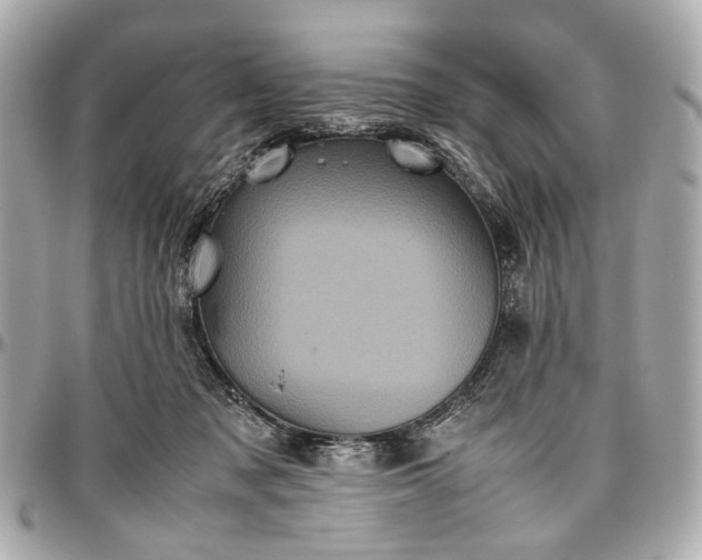 X0000097000317200802221527