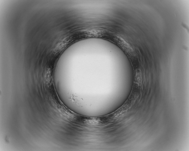 X0000097000318200802221527