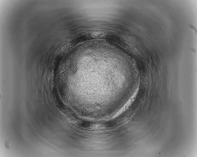 X0000097000319200802221527