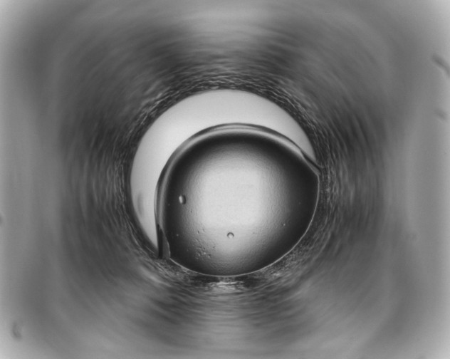 X0000097000320200802221527