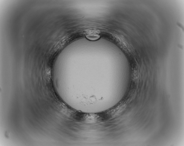 X0000097000321200802221527