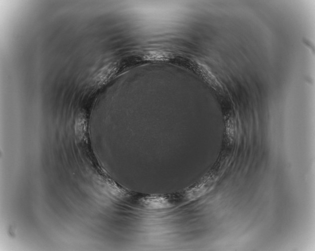 X0000097000322200802221527