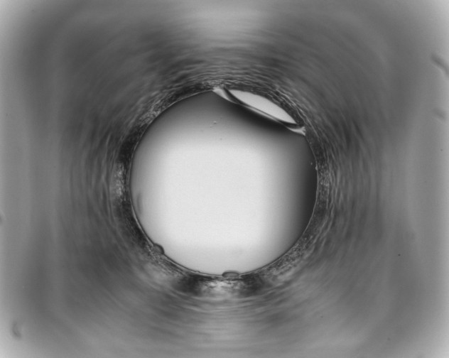 X0000097000323200802221527