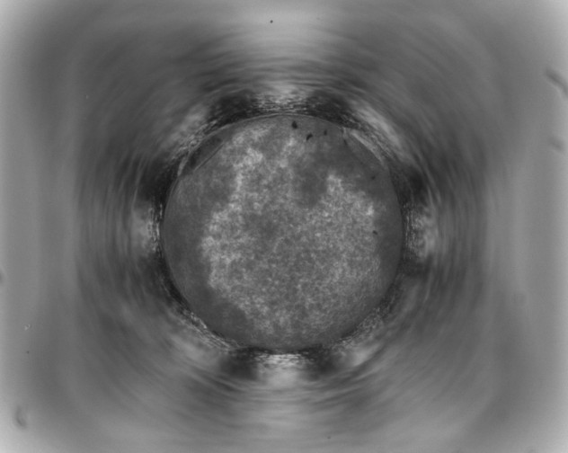 X0000097000324200802221527