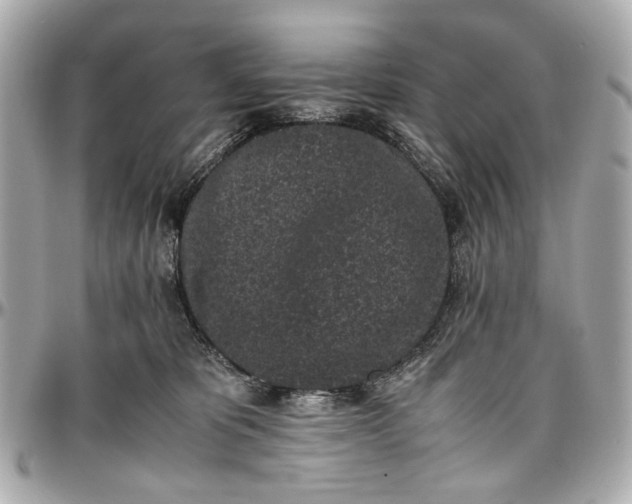 X0000097000325200802221527