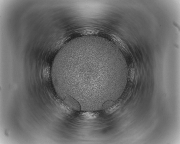 X0000097000326200802221527