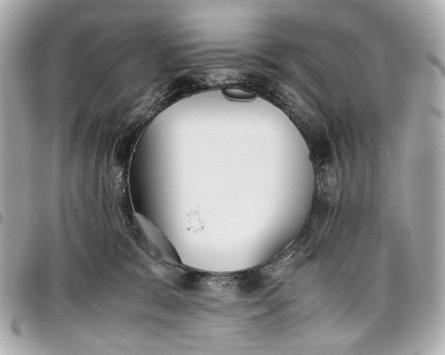 X0000097000327200802221526