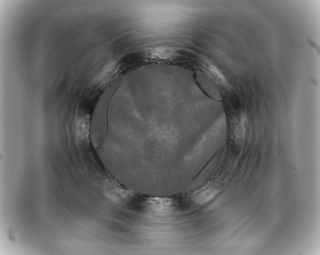 X0000097000328200802221526