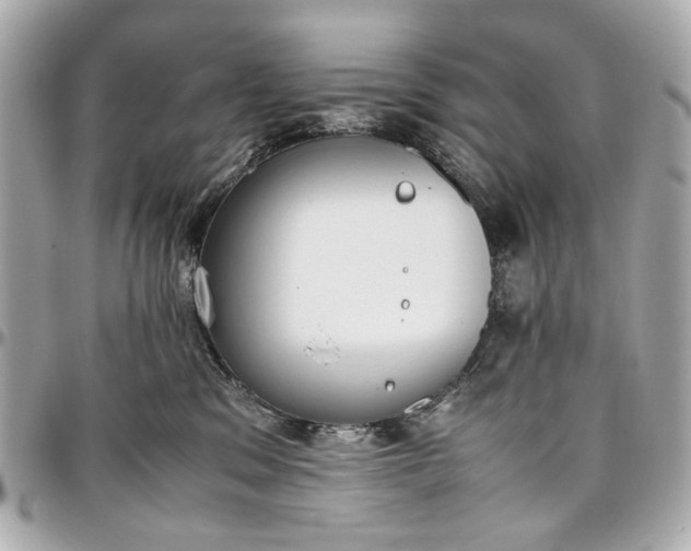 X0000097000329200802221526