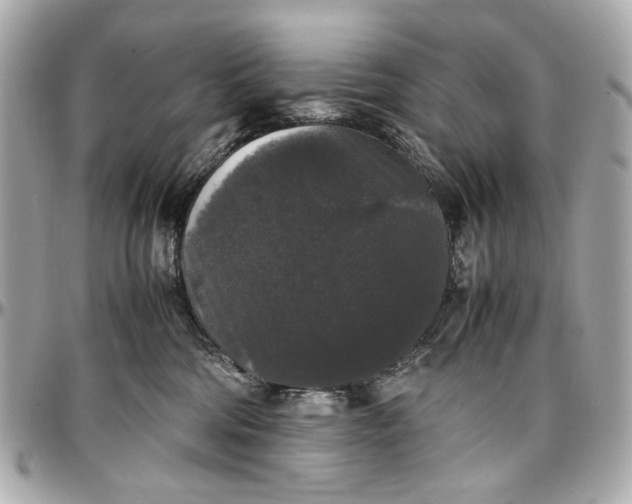 X0000097000330200802221526