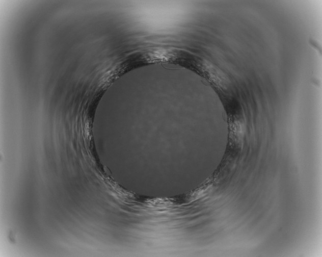 X0000097000331200802221526