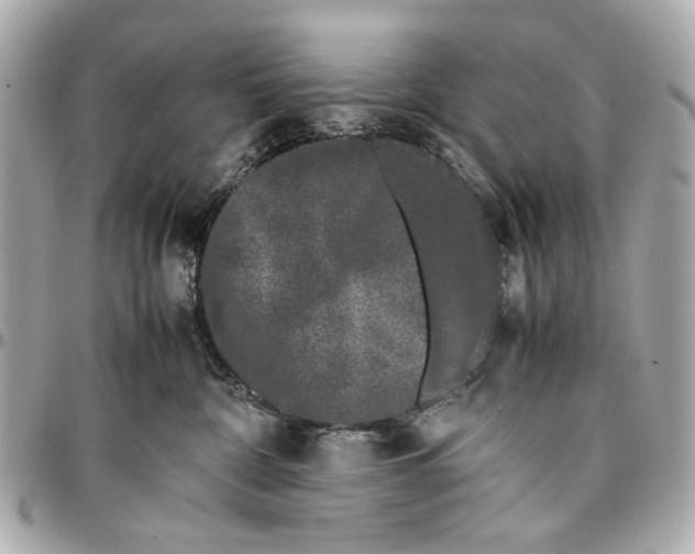 X0000097000332200802221526