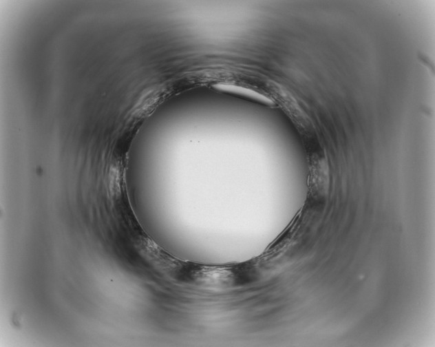 X0000097000333200802221526