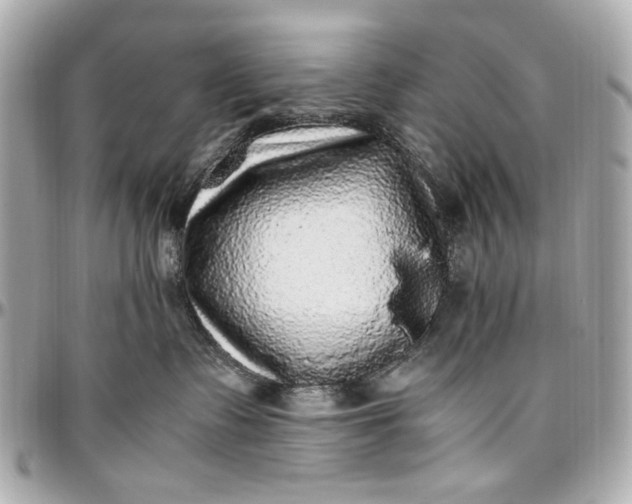 X0000097000335200802221526