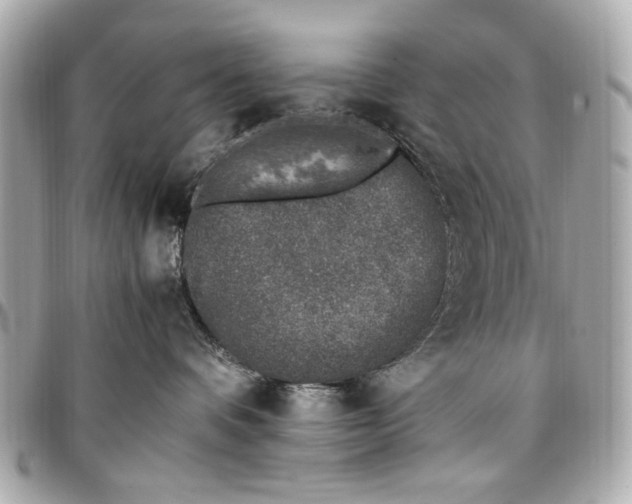 X0000097000336200802221526