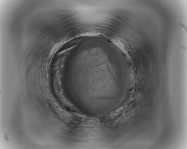 X0000097000337200802221526