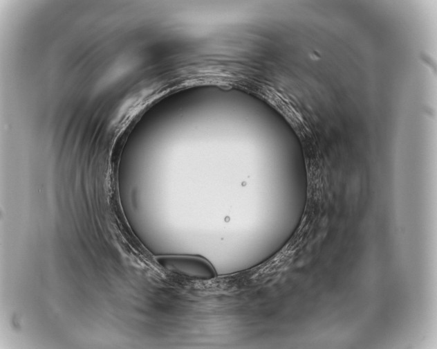 X0000097000338200802221526