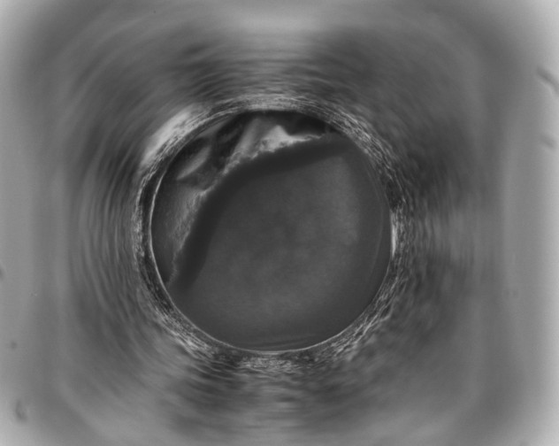 X0000097000339200802221526