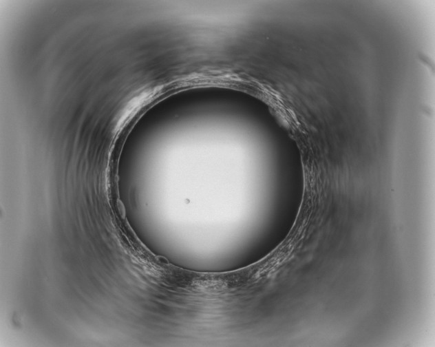 X0000097000340200802221526