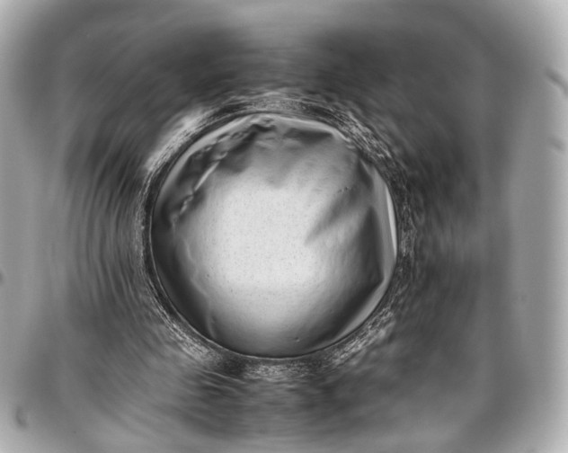 X0000097000341200802221526