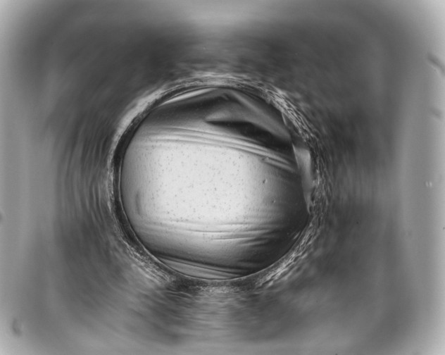 X0000097000342200802221526