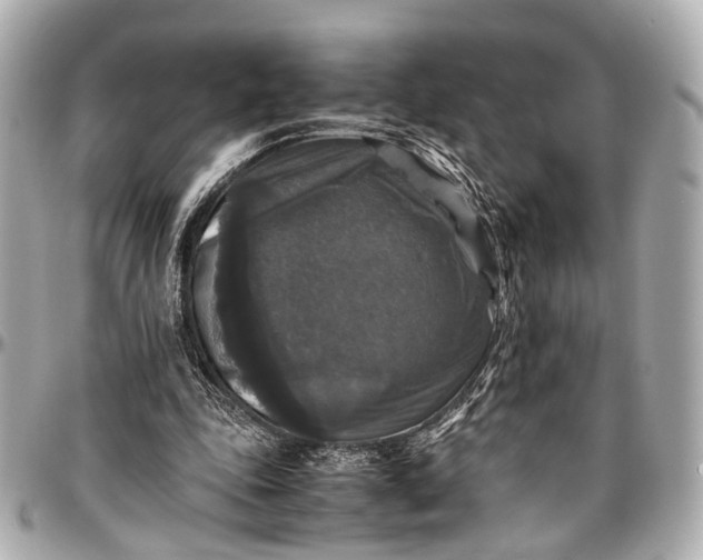 X0000097000343200802221526