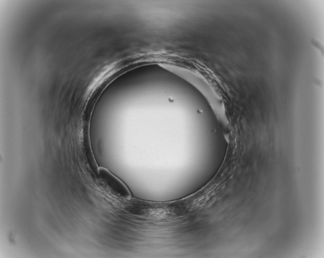 X0000097000344200802221526