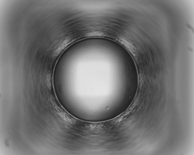 X0000097000345200802221526