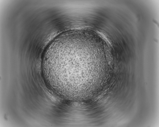 X0000097000346200802221526