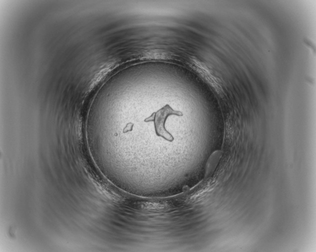 X0000097000347200802221526