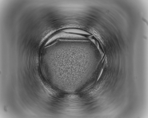 X0000097000348200802221526