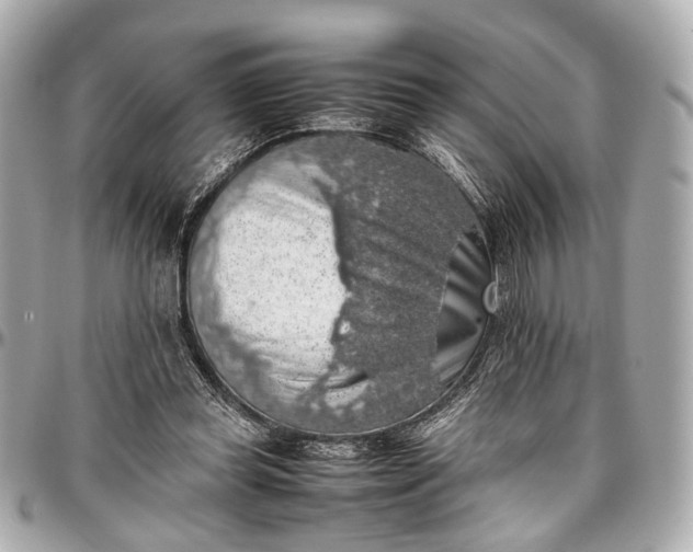 X0000097000349200802221526