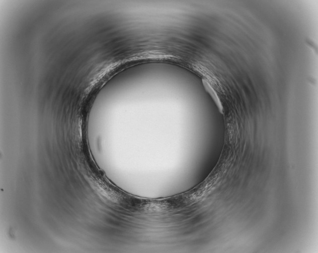 X0000097000350200802221526