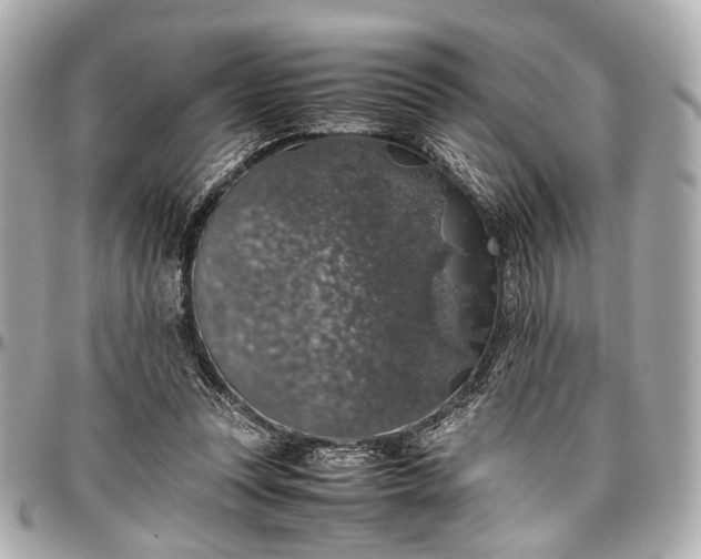 X0000097000351200802221526