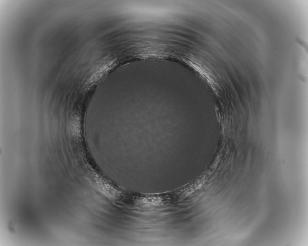 X0000097000353200802221526