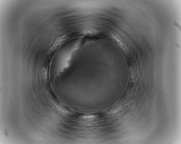 X0000097000357200802221526