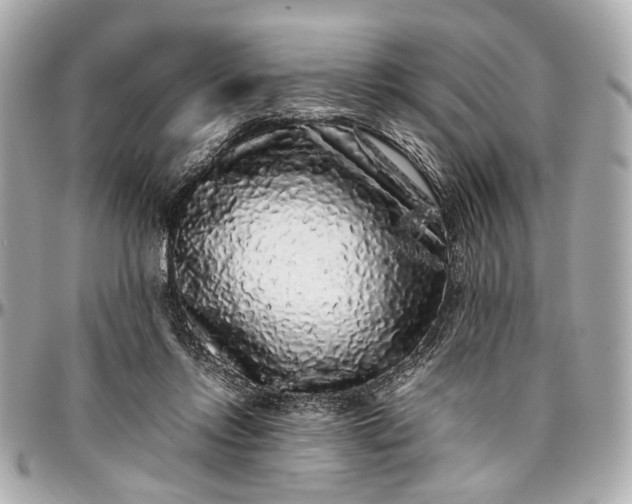 X0000097000358200802221526