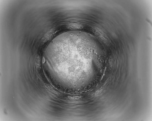 X0000097000359200802221526