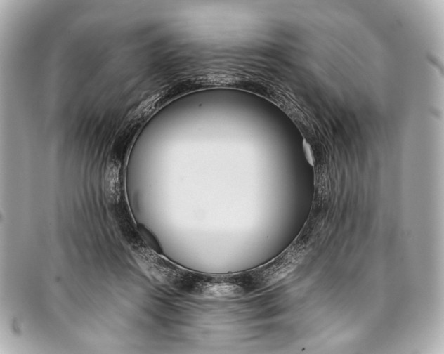 X0000097000360200802221526